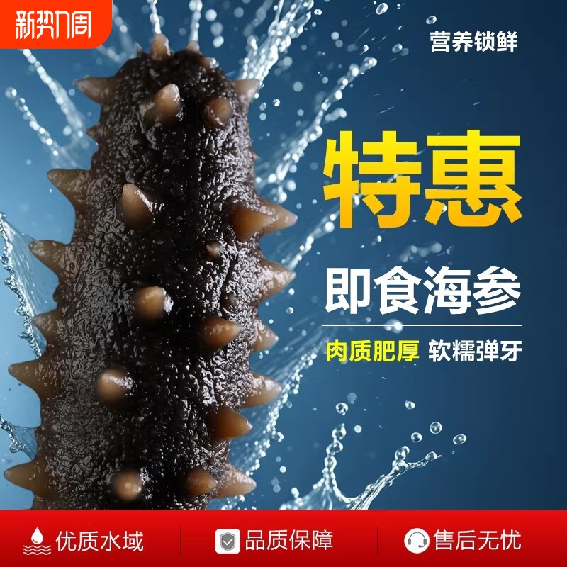海参即食海参滋补鲜食冷冻非淡干辽参刺参深海特产水产京东冷链