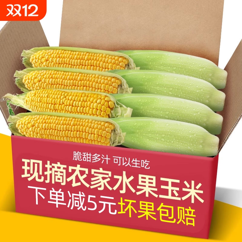 广东现摘大纯黄甜玉米10斤