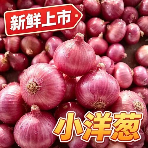 新鲜珍珠小洋葱紫皮迷你小圆葱生吃凉拌小葱头农家新鲜应季蔬菜