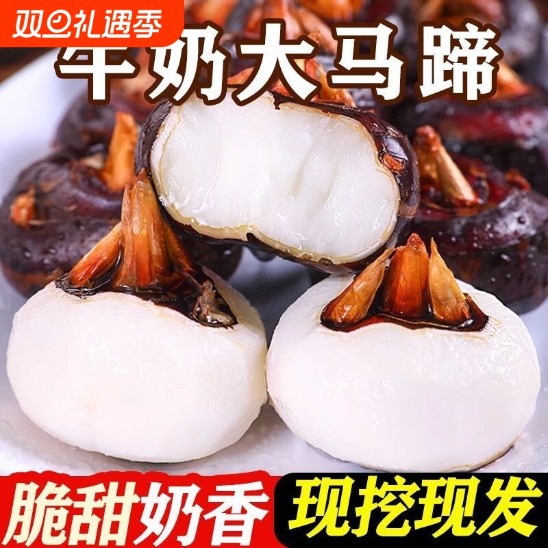 农家新鲜马蹄荸荠大果生吃水果蔬菜当季现挖荸荠地栗奶香脆甜爽口