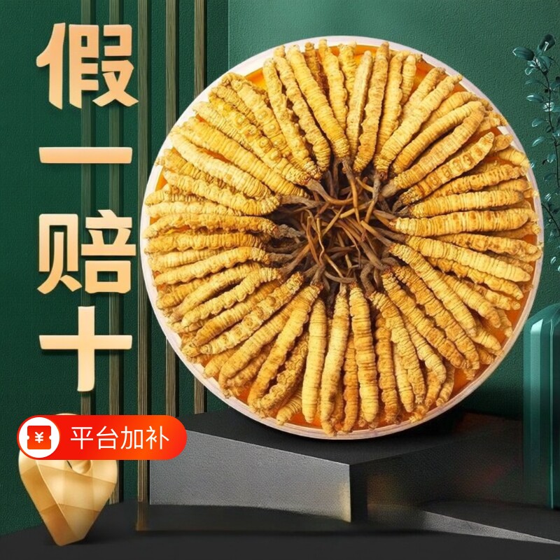 2026头期鲜草西藏那曲冬虫夏草干货高海拔干草正宗正品虫草送礼