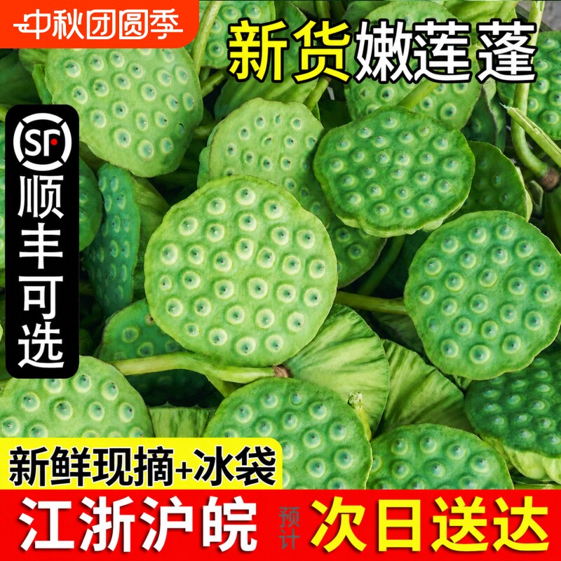 【现摘】头茬新鲜水果莲蓬米