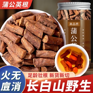 蒲公英根新茶正品特优级官方旗舰店婆婆丁根儿长白山中药原材大根