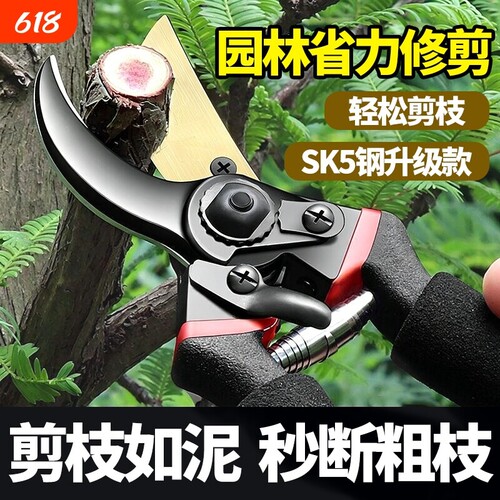 修枝剪花剪园艺剪刀花艺修剪树枝剪刀果树剪花枝剪子修花园林工具