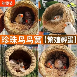 珍珠鸟鸟窝四季通用文鸟繁殖箱下蛋鹦鹉专用睡觉草窝鸟巢用品大全