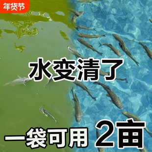 鱼塘除铁锈剂除绿藻水除藻浊清水质净化剂虾消毒杀菌S池塘养殖