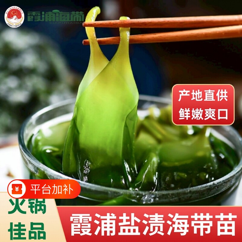 代康霞浦海带苗嫩非特级非干货新鲜海带芽盐渍嫩苗凉拌菜火锅商用
