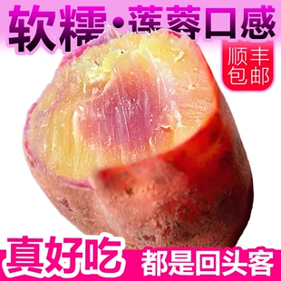 顺丰正宗南沙一点红番薯可蒸可烤广东红薯火锅食材蔬菜产地直发