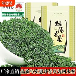 正宗松阳香茶2025新茶明前雨前云雾绿茶栗香浓郁耐泡品质茶叶500g