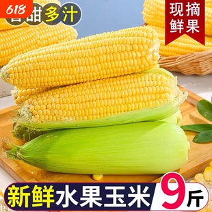 新鲜云南水果甜玉米现摘金银玉米可榨汁即食带皮散装香甜