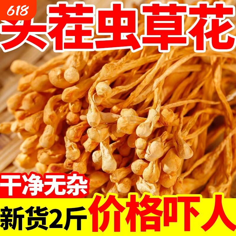 新货虫草花干货正品特级孢子头福建虫草蛹虫草优选野生煲汤材料