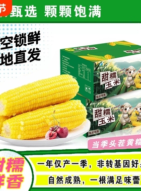 开源保丰铝箔正宗东北新鲜黄糯玉米软糯拉丝独立真空包装寒地黑土