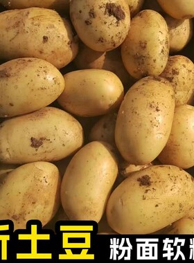 正宗贵州土豆现挖新鲜洋芋