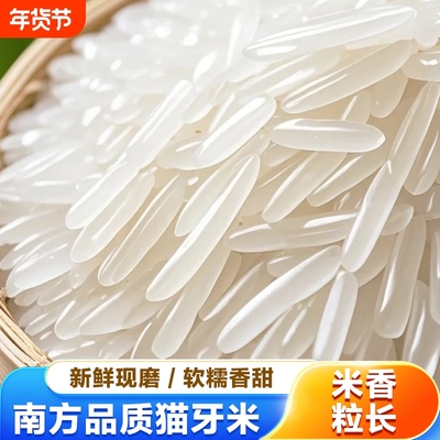 正宗象牙米长粒香米大米新米农家丝苗米煲仔饭猫牙月牙食用现磨