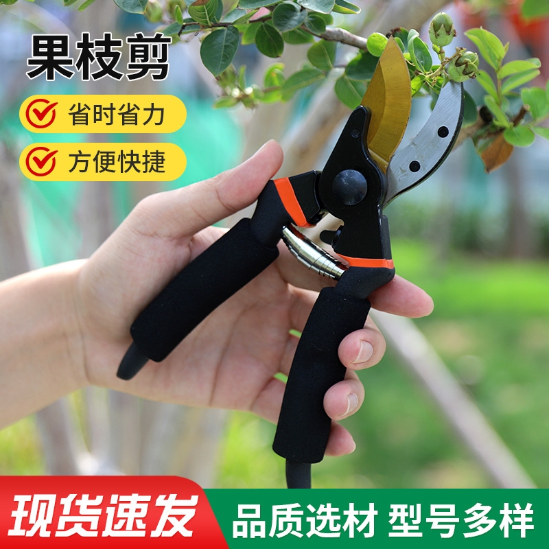 强力加厚SK5钢修枝剪园艺苗圃