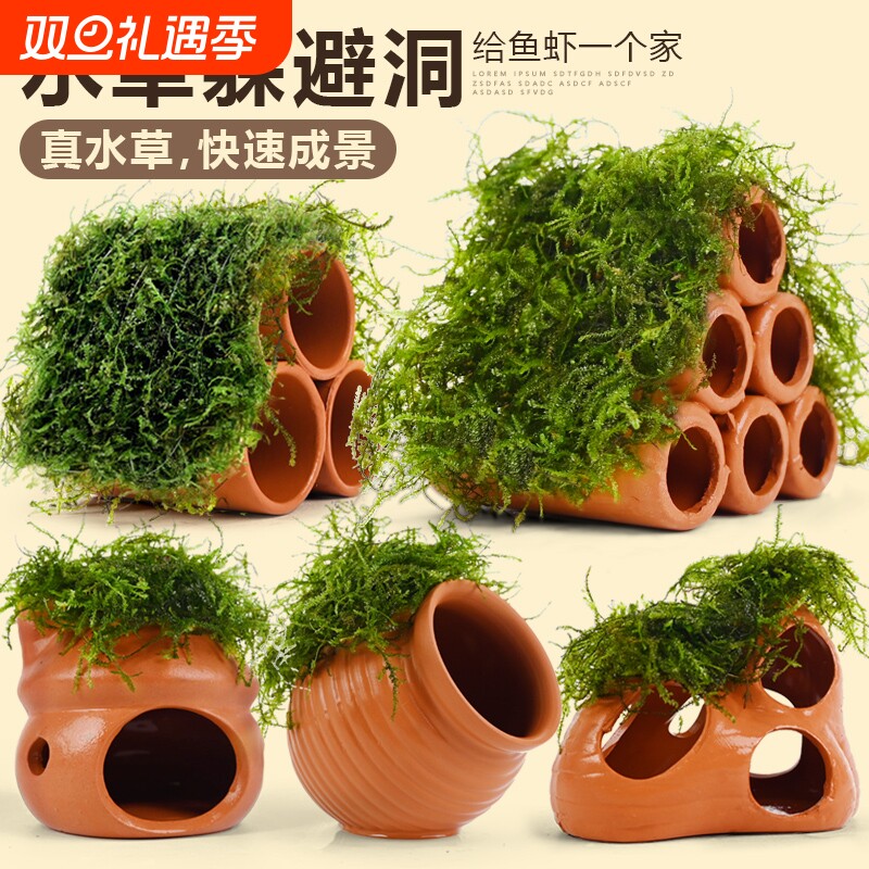 莫斯陶罐躲避屋装饰水草鱼缸造景植物鱼虾躲避洞虾屋摆件小鱼繁殖
