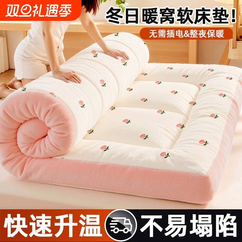 软垫双人床品牛奶绒床褥垫家用榻榻米垫双面绒保暖垫宿舍加厚卡通