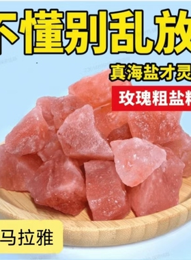 粗盐大颗粒喜马拉雅盐