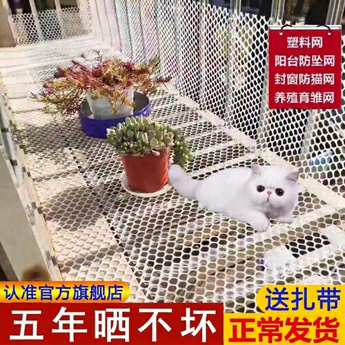 阳台防护网窗户围栏塑料网