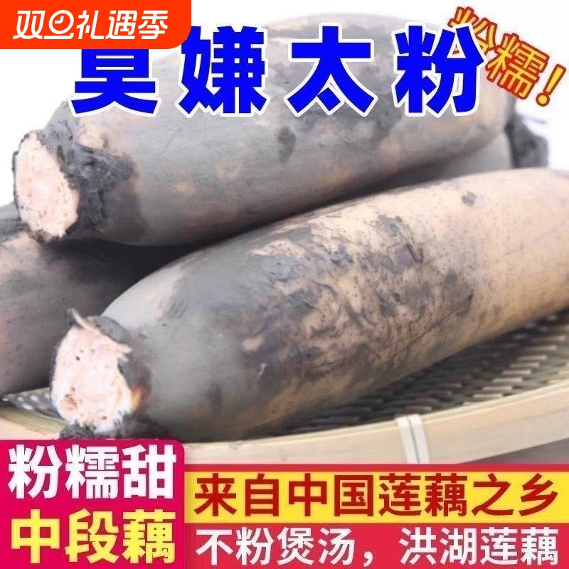 正宗湖北粉藕洪湖莲藕