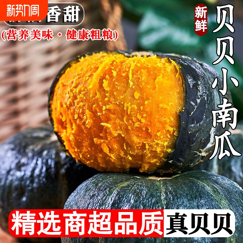 贝贝南瓜粉糯香甜早餐婴儿辅食代餐板栗味营养健康新鲜小南瓜