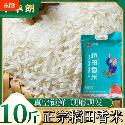 云南特产遮放当季新米软米10斤软糯香甜精选优质大米厂家直供