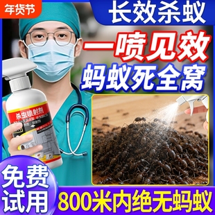 蚂蚁药家用全窝端旗舰店呋虫胺杀虫剂室内无毒灭蚂蚁药蟑螂红火蚁