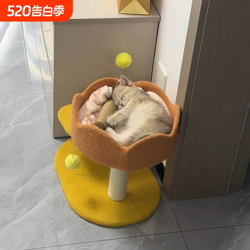 猫爬架小型猫抓板猫窝一体迷你猫架子幼猫玩具猫爪柱小户型不占地