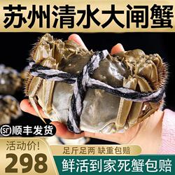 苏州特产螃蟹鲜活海鲜净重大闸蟹公母3两足斤足两中秋10只礼盒装