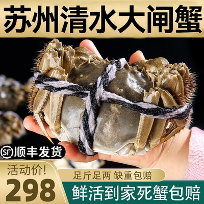 鲜活公母大闸蟹8只|超2000次加购