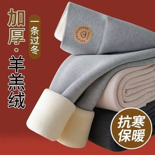 女外穿秋冬款 棉毛裤 加绒加厚保暖裤 秋裤 大码 东北特厚羊羔绒打底裤