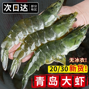 大虾鲜活速冻青岛超特大海虾基围虾冷冻青虾盐冻对虾2030海鲜水产
