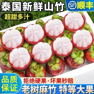 顺丰礼盒泰国进口山竹当季新鲜大果5A6A水果油麻竹现货热带年货节