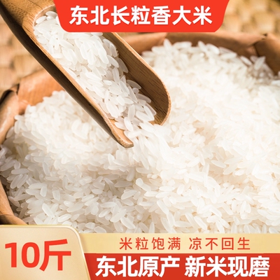 东北长粒香大米当季新米黑龙江粳米农家大米香米真空米饭新鲜袋装