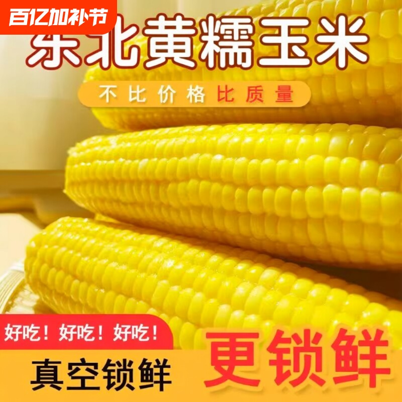 2025年新东北黄糯玉米棒甜糯玉米粘苞米即食真空锁鲜早餐粗粮代餐