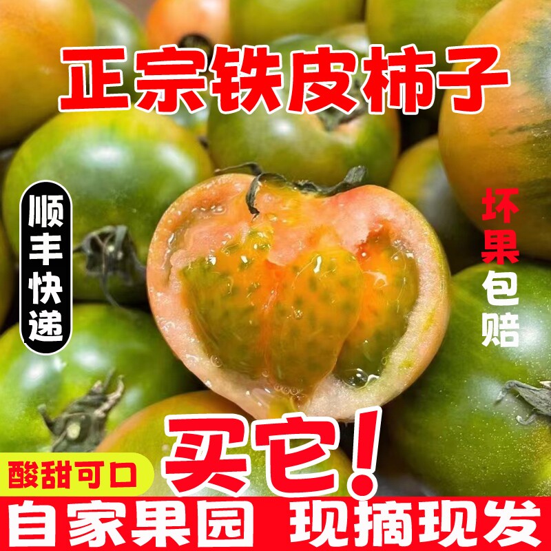新鲜铁皮草莓柿子5斤应当季西红柿生吃水果碱地盘锦绿腚番茄蔬菜