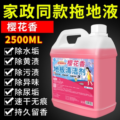 地板清洁剂瓷砖木地板拖地清洁液
