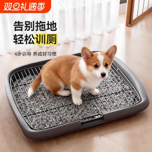 【新手专用狗厕所】告别狗狗乱尿