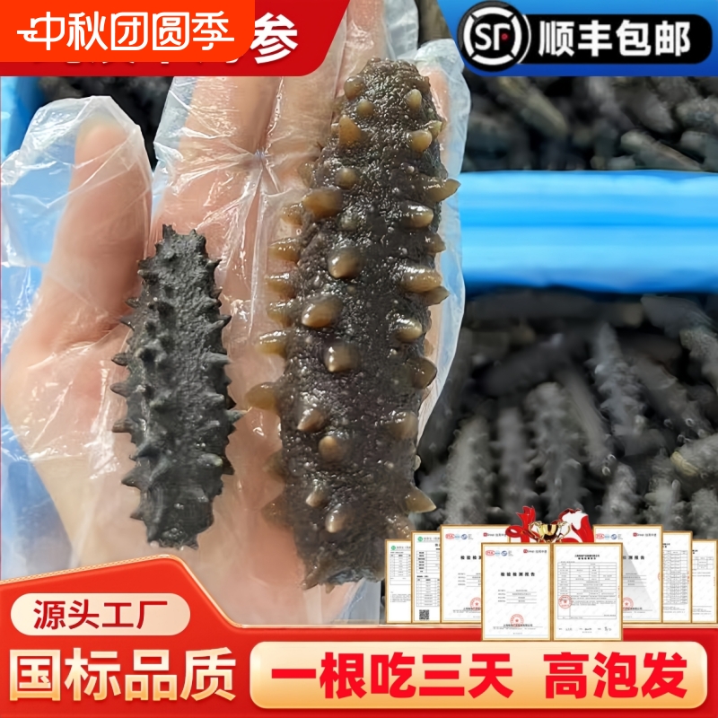 海参干货纯淡干9年250g深海高泡发海参干货送礼盒正品官方旗舰店
