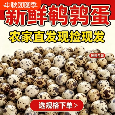 农家杂粮喂养新鲜生鹌鹑蛋多种吃法口感细腻整箱发货批发包邮农场