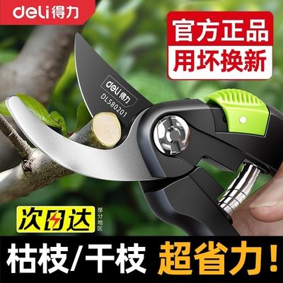 得力园艺剪果树剪刀粗大花剪