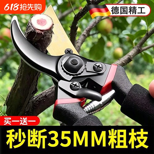 园艺剪刀修枝剪果树剪修树枝专用剪刀剪枝工具家用花艺园林修剪器