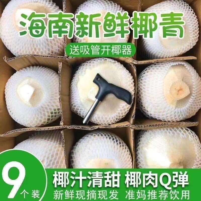 椰子海南椰青新鲜去皮青香水皇鸡汁水果孕妇文昌整箱特产椰汁果肉