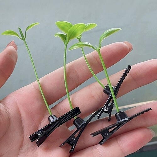 小草发夹可爱头上长草豆芽卖萌头顶搞怪夹子发卡发饰抖音超火头饰