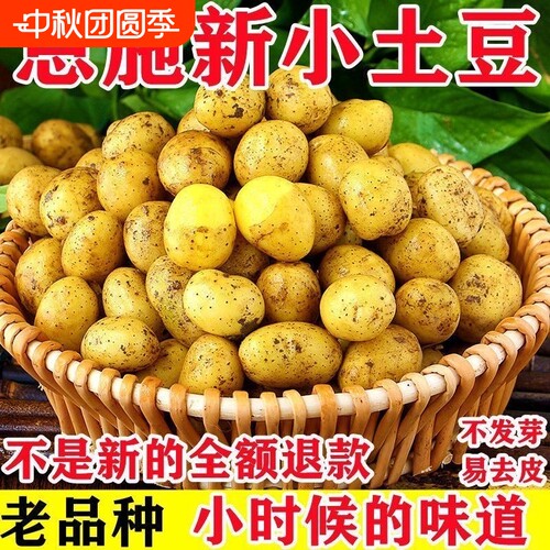 恩施富硒小土豆黄皮马铃薯农家黄心洋芋整箱批发当季现挖新鲜蔬菜