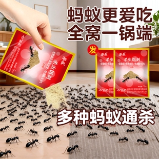 厚生红火蚁蚂蚁药粉末全窝室内家用农用菜地户外蚂蚁强效防治厨房
