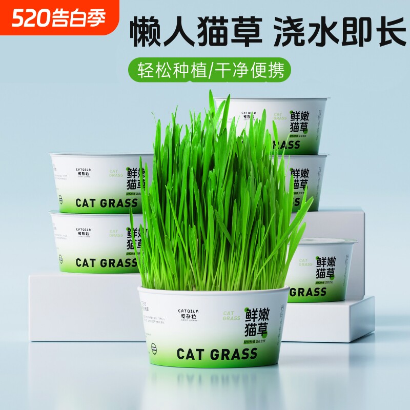 猫草盆栽泡面杯化毛球片猫咪专用土培盒吐毛球猫咪零食水培泡面杯