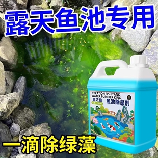 鱼池除藻剂去绿水绿藻水质净化剂净水不伤鱼水质净化剂青苔清除