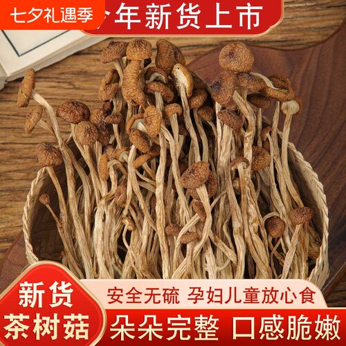 茶树菇干货特产鲜香脆嫩