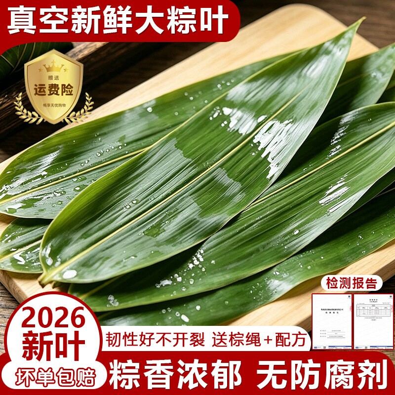 粽叶新鲜粽子叶大号包粽子叶子端午节特大粽叶箬竹叶现摘真空包装